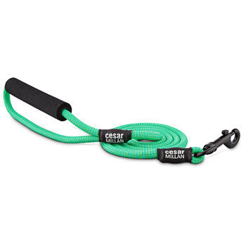 Braided Brights Rope Dog Leash