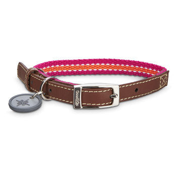 Oxford Pink & Orange Dog Collar