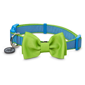 Bow Tie Collar