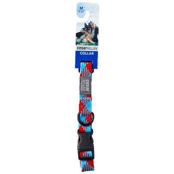 Braided Brights Red & Blue Nylon Dog Collar