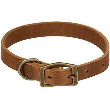 Leather Collar